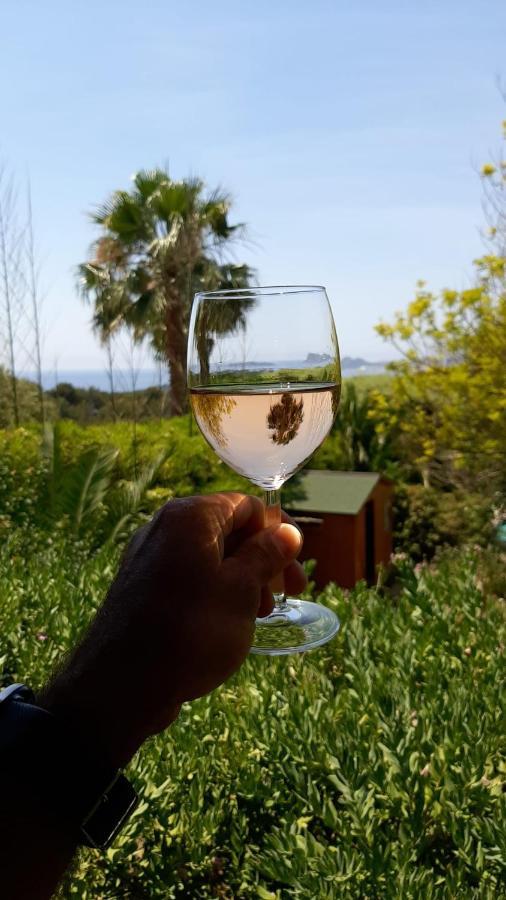 Gite Vue Mer La Cadiere-d'Azur Zewnętrze zdjęcie